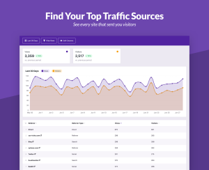 Independent Analytics Traffic sources