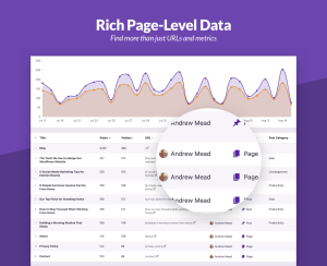 Independent Analytics Rich Page-level Data