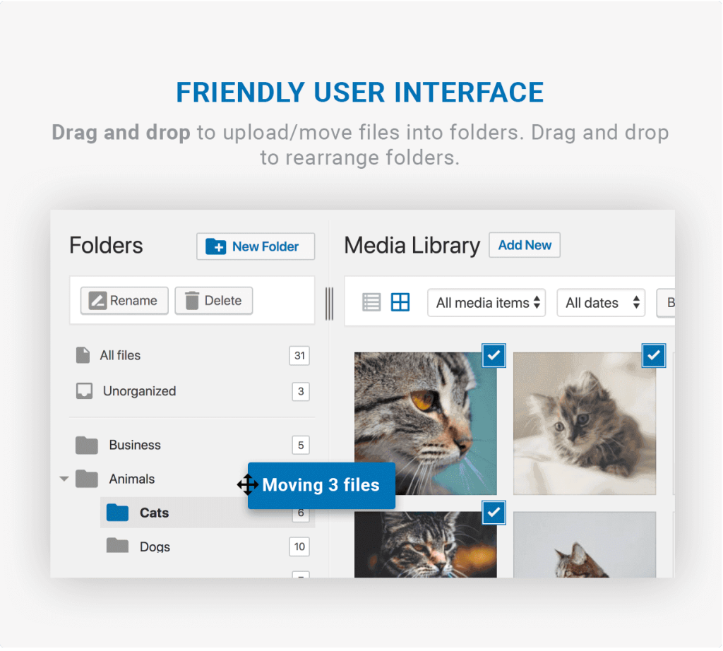 filebird interface