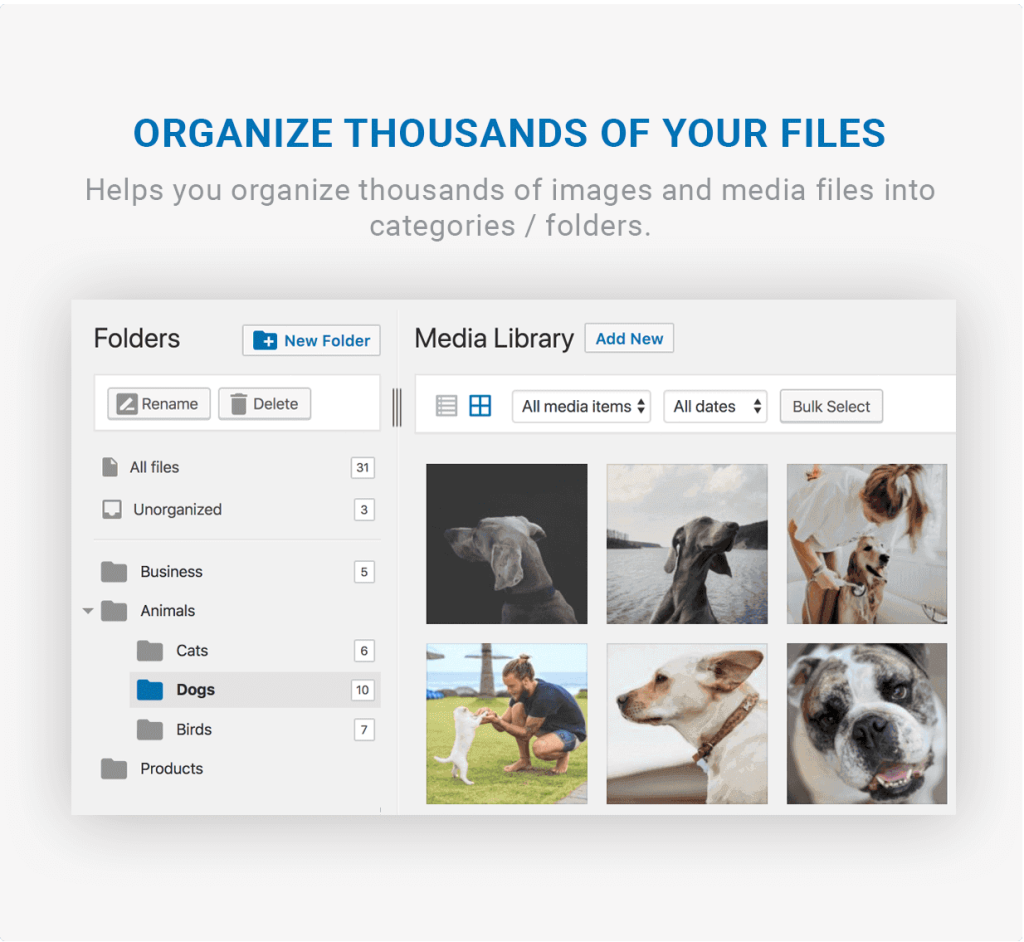 filebird organize